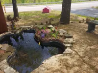 Shady Acre Inn and Suites