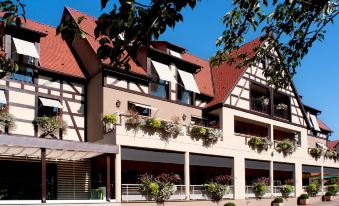 Logis Hotel le Parc & Spa