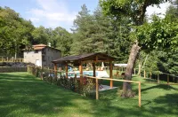 Stunning Luxury Old Tuscan Villa With private 12 Mtr Fresh Water Pool