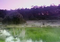 Bewong River Retreat Hoteles en Sussex Inlet