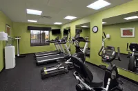 Holiday Inn Express & Suites HOUSTON EAST - BAYTOWN by IHG - Træningscentre