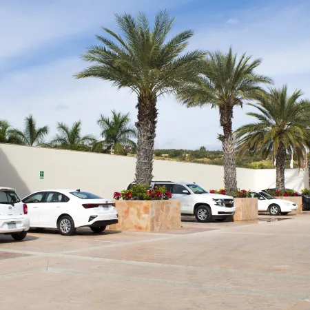 Secrets Puerto Los Cabos Golf & Spa Resort All Inclusive