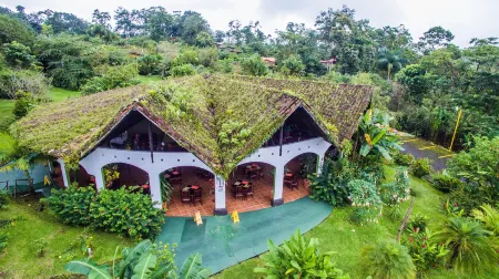 Hotel Mountain Paradise Отели рядом с достопримечательностью «Tabacon Hot Springs»