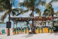 Guana Beach Inn Hotel a Great Guana Cay