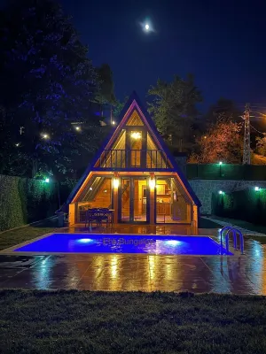 Ehli Bungalov Hotels near vitalis Rulo çim Peyzaj Uygulama