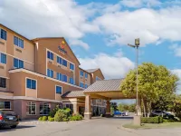 Comfort Suites Waco North - Near University Area Hotels in Waco