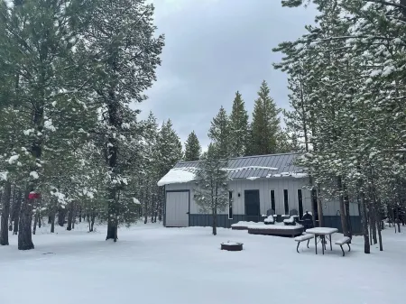 Cozy Forest Cabin w/ Sauna & Hot Tub!