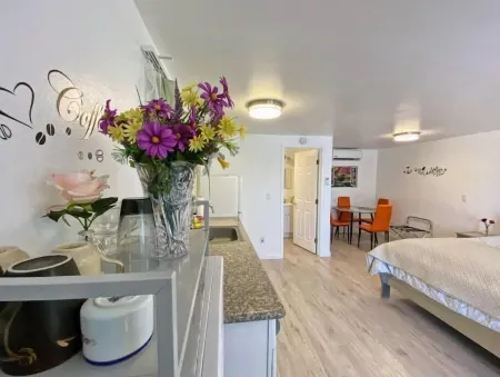 Sun Cabin #2 Monthly 40% Off