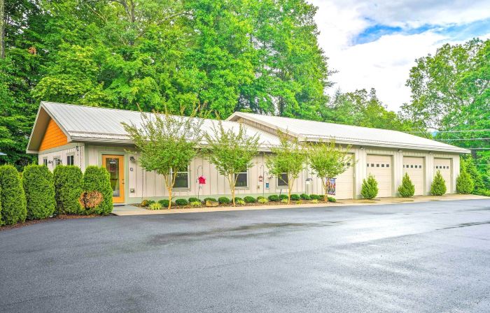Pisgah Forest Farm Home Outdoor Pool and Games