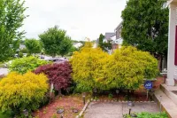 Glamorous Two level, 4 bedroom Family Home Hotels in Greenbelt