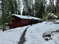 Casa Luna swim spa in the woods