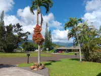Albatross Ohana~Top location~3 bedroom house w/ loft, waterfall views~ small pet
