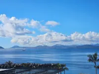 Vista lobos flamingo beach