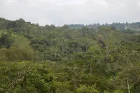 Beautiful house immersed in nature Hotels in Fusagasuga