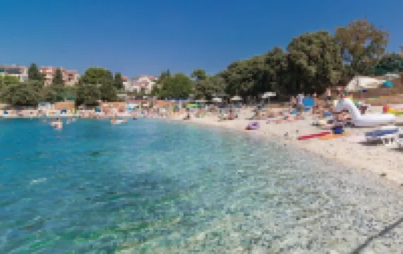 Newly built and decorated cute studio with a terrace overlooking the garden.