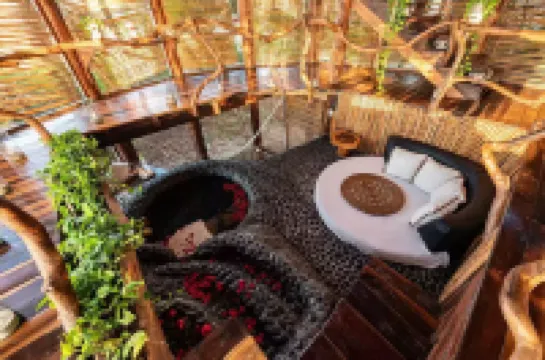 6 Day- Divine Embodi Retreat Space- Power Detox, Mental Reset