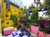 Sustainable 3 Bedroom Home - Casa Vecindad Murales