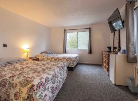 Villa Moderne Motel Отели в г. Чарлвуа