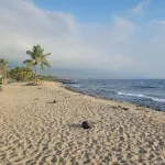 Ocean View from Sofa & LanaiOceanfront Complex Close to Town, Dining & Shopping
