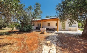 2769 Uliveto Valeria - Trullo Fico by Perle di Puglia