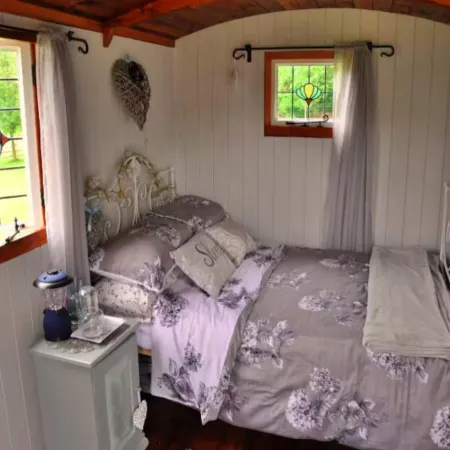 Shepherd's Hut in Romsey with Fire Pit