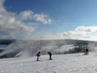 Winterberg Gruppenhaus Mit Sauna - Ideal Fur Familien & Freunde - Wifi