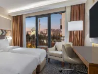 Mercure Ankara Kizilay 앙카라 호텔