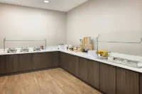 Residence Inn Tampa Suncoast Parkway at NorthPointe Village - breakfast