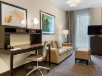Staybridge Suites ST. PETERSBURG DOWNTOWN by IHG Hotels near The Pier