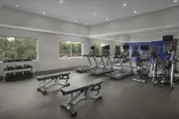 Holiday Inn Express & Suites BIRMINGHAM NORTH - FULTONDALE by IHG - Wifi