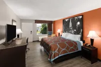 Super 8 by Wyndham Bulls Gap Greeneville Area