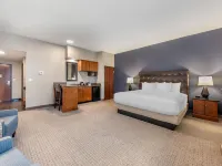 Drury Plaza Hotel San Antonio North Stone Oak Hotels in Bexar County