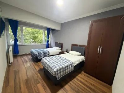 Kılıç AirPort Otel Hotel in zona Gümüldür Mandalin