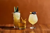 VEA Newport Beach, a Marriott Resort & Spa - bar