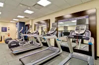 Hampton Inn & Suites Detroit/Troy - Gym