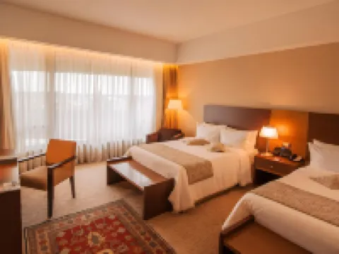 Gran Bourbon Hotel Asuncion Hotels in Luque