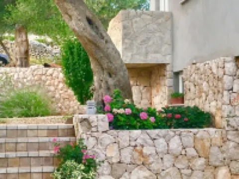 Apartments Suzana Hotels in Lun
