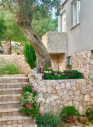 Apartments Suzana