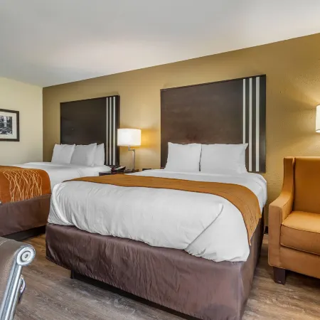 Comfort Inn Near Downtown & Blue Ridge Pkwy