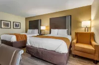 Comfort Inn Near Downtown & Blue Ridge Pkwy