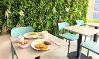 Hotel zumo Hotels in 