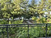 Grand Lagoon Ocean View