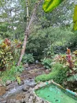 Rio Perlas Thermal Resort & Spa - balneario