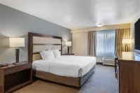 Best Western Sunridge Inn  Conference Center - Pet friendly
