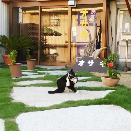 Minshuku Osaki