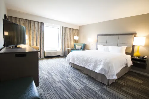 Hampton Inn Decatur Southeast - Kæledyr tilladt