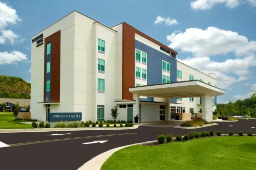 SpringHill Suites Ellijay - 3-Star