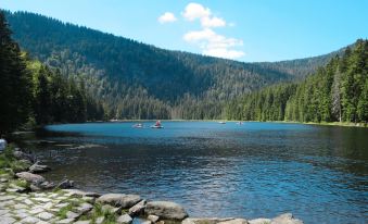 a serene lake surrounded by lush green trees , with a boat floating on the water at Paula