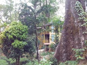 Jungle Jive Tree House Munnar