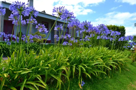 Private Eco-Friendly Holiday Cottage with Sea and Mountain View.